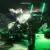 Green Lights のサムネイル